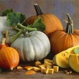 Muškatna bundeva: fotografija, korist i šteta